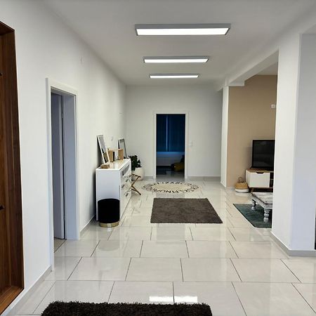 Stadtsuite Mit Sauna In Wiener Neustadt 135 M2 Eksteriør billede