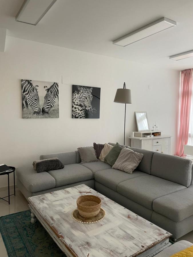 Stadtsuite Mit Sauna In Wiener Neustadt 135 M2 Eksteriør billede