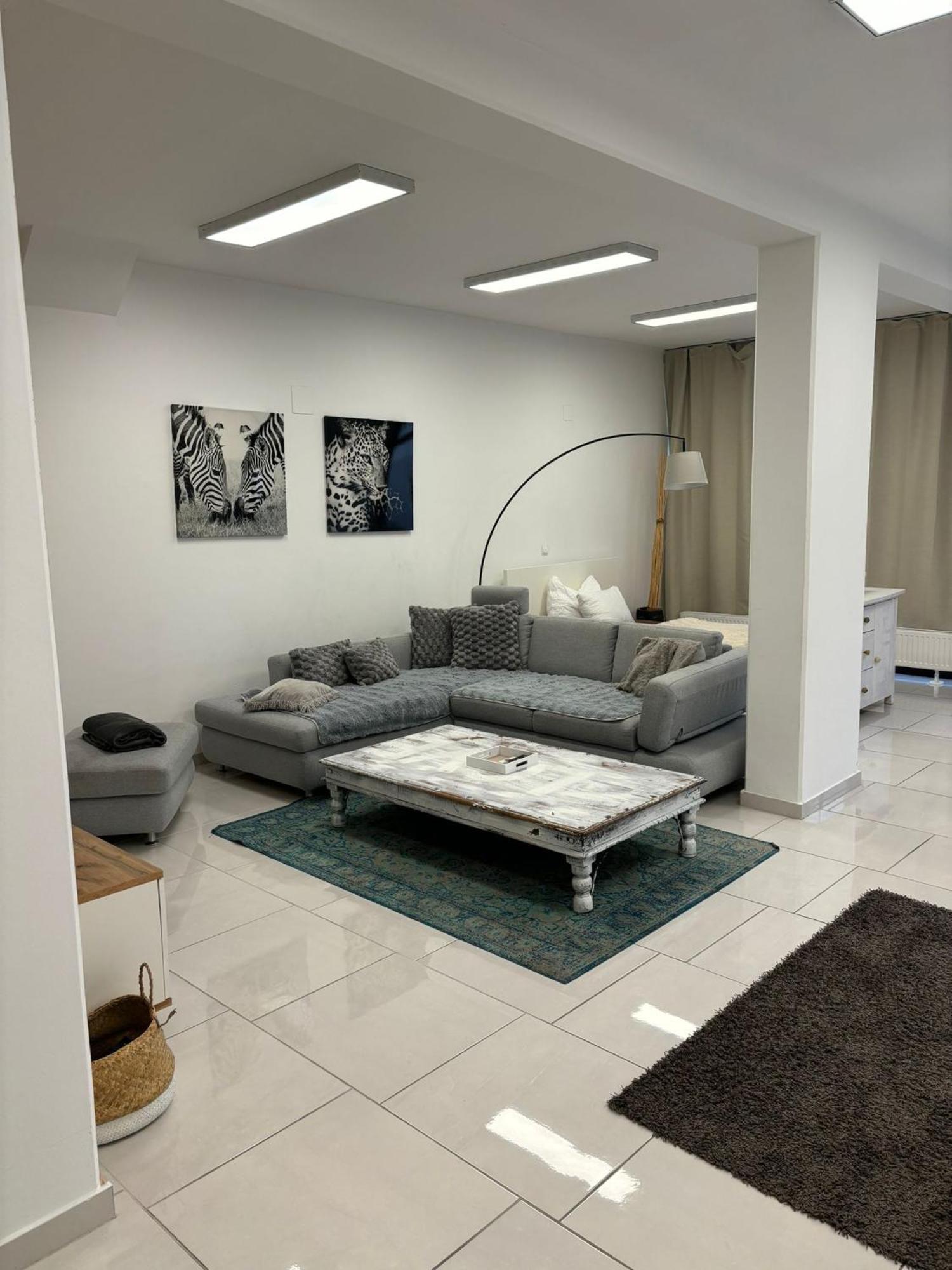Stadtsuite Mit Sauna In Wiener Neustadt 135 M2 Eksteriør billede